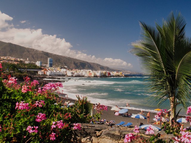 Flores na Playa Jardin em Tenerife