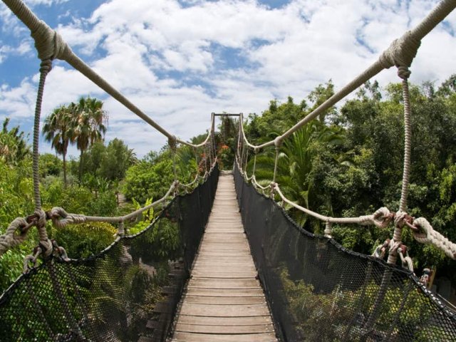 Paisagem do Jungle Park in Tenerife